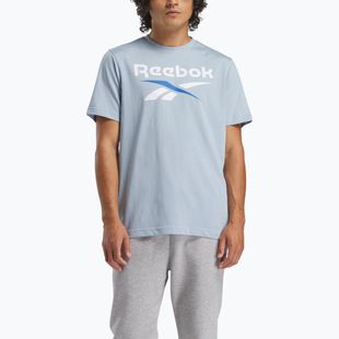 Мъжки потник Reebok Reebok Identity Big Logo Tee upgrade blue