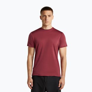 Мъжка тениска за трекинг icebreaker Merino 125 Cool-Lite Sphere III port