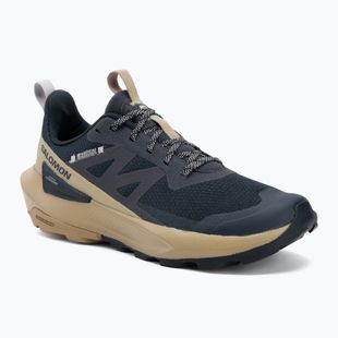 Мъжки туристически обувки Salomon Elixir Activ carbon/slate green/glacier