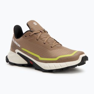 Мъжки обувки за бягане Salomon Alphacross 5 caribou/canteen/ sulphr