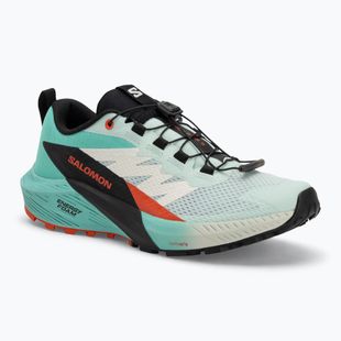 Дамски обувки за бягане Salomon Sense Ride 5 bay/black/cherry tomato