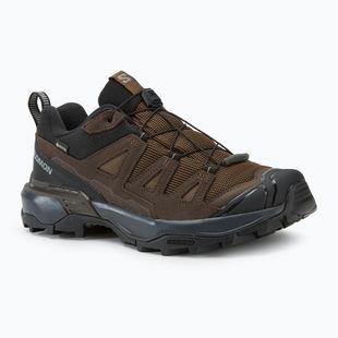 Мъжки обувки за трекинг Salomon X ULTRA 360 LTR GTX dark earth/delicioso/ sharkskin