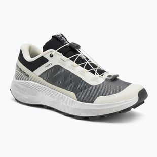 Мъжки обувки за бягане Salomon Vision vanilla ice/lunar/rock/black