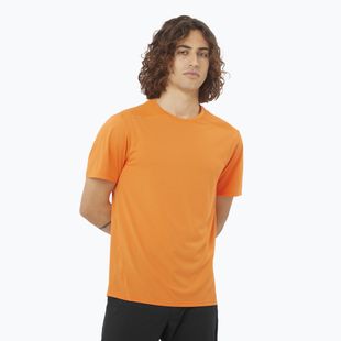 Мъжка тениска Salomon Outline Tee в цвят куркума