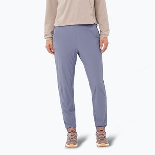 Дамски панталони за трекинг Salomon Wayfarer Ease blue granite