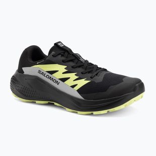 Мъжки обувки за бягане Salomon Alphaglide GTX black/alloy/sharp green