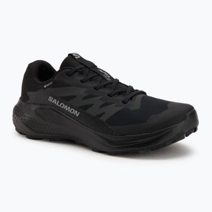 Мъжки обувки за бягане Salomon Alphaglide GTX black/asphalt/black