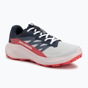 Дамски обувки за бягане Salomon Alphaglide GTX lunar rock/blue night/rouge red