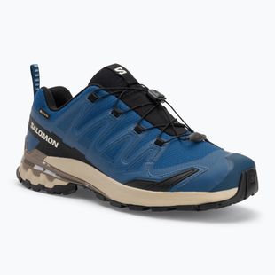 Salomon XA PRO 3D V9 GTX мъжки обувки за бягане poseidon/white pepper/falcon