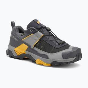 Мъжки обувки за трекинг Salomon X ULTRA 5 GTX turbulence/monument/spicy mustard