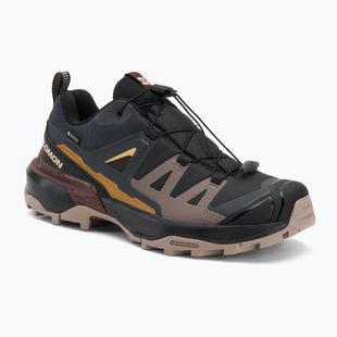 Дамски обувки за трекинг Salomon X Ultra 360 GTX phantom/iron/etherea