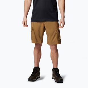 Къси панталони за трекинг на Columbia Silver Ridge Utility Cargo delta за мъже