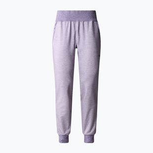 Дамски панталони за трекинг The North Face Juniper Basin Jogger lunar slate heather