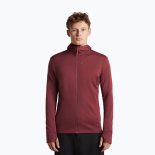 Мъжки суитшърт Icebreaker Merino 260 Quantum IV LS Zip Hoodie port/agate