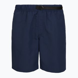 Мъжки шорти Vans Range Nylon Loose