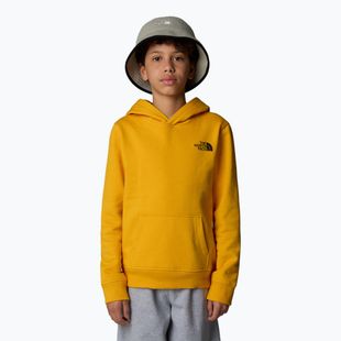 Детски суитшърт The North Face Teen Redbox Regular P/O summit gold