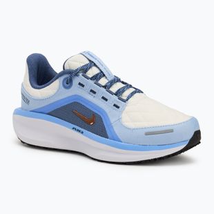 Дамски обувки за бягане Nike Winflo 11 GORE-TEX phantom/footballgrey/cobaltbliss/metallicredbronze