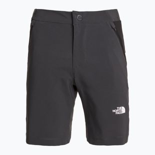 Дамски къси панталони за трекинг The North Face Felik Slim Tapered asphalt grey/tnf black