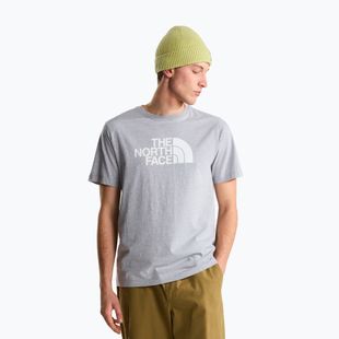 Мъжка тениска The North Face Evolution Half Dome tnf pale grey heather