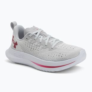 Under Armour Velociti 4 SE дамски обувки за бягане halo gray/mod gray/shaded fuchsia