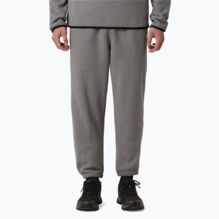 Мъжки панталони The North Face Glacier Fleece mid grey heather