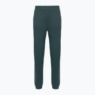 Дамски панталони The North Face Mountain Athletics Fleece deep cypress/space