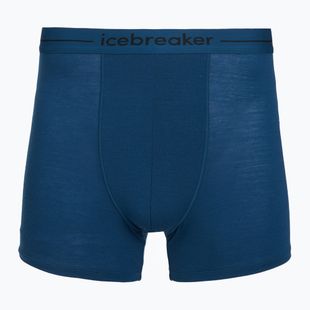 Мъжки боксерки за плуване icebreaker Anatomica atlantis