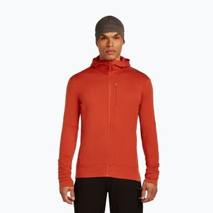 Мъжки суитшърт Icebreaker Merino 260 Quantum IV Zip Hoodie agate