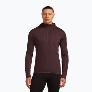 Мъжки суитшърт за трекинг Icebreaker Merino 200 RealFleece Descender Zip Hoodie java