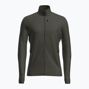 Мъжки суитшърт за трекинг Icebreaker Merino 260 Quantum IV LS Zip dark loden