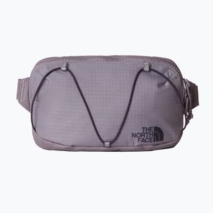 Чантичка за кръста The North Face Terra Lumbar 1 l transcendent grey