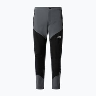 Мъжки панталони за трекинг The North Face Felik Slim Tapered smoked pearl/tnf