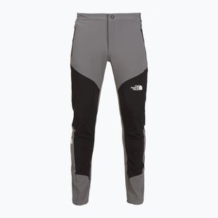 Мъжки панталони за трекинг The North Face Felik Slim Tapered smoked pearl/tnf