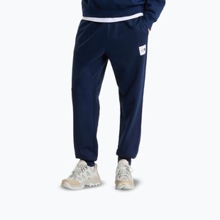 Мъжки панталони за бягане The North Face Evo Box Half Dome Regular Tappered summit navy