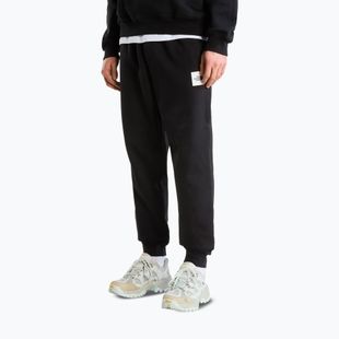 Мъжки панталони за бягане The North Face Evo Box Half Dome Regular Tappered tnf black