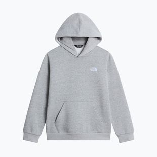 Детски суитшърт The North Face Evolution Simple Dome Pullover Hood tnf pale grey heather