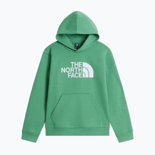Детски суитшърт The Noryh Face Essential Drew Peak Hoodie dimmed algae