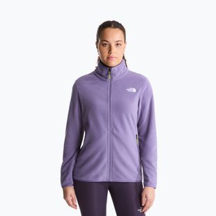 Мъжки поларен суитшърт The North Face Glacier Fleece grounded plum