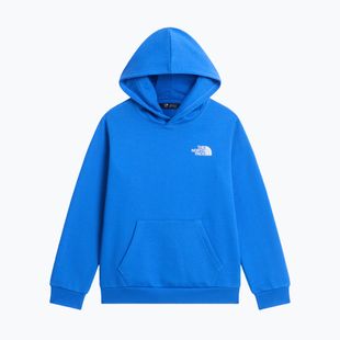 Детски суитшърт The North Face Evolution Box NSE Pullover Hoodies active blue