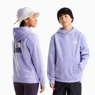 Детски суитшърт The North Face Evolution Box NSE Pullover Hoodies pale plum