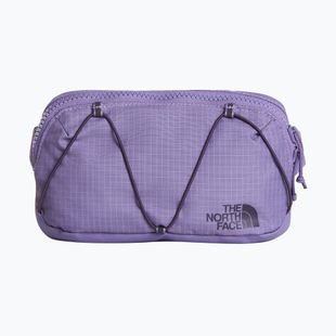 Чантичка за кръстна The North Face Terra Lumbar 1 l grounded plum/endless