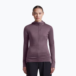Дамски суитшърт за трекинг Icebreaker Merino 200 Realfleece Descender Half Zip Hoodie grey plum