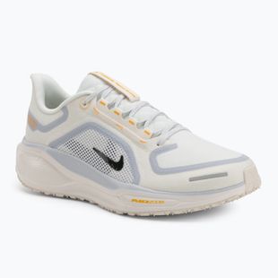 Мъжки обувки за бягане Nike Pegasus 41 GTX sail/football grey/sundial/ashen slate