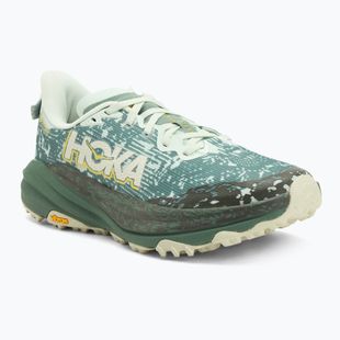 Мъжки обувки за бягане HOKA Speedgoat 6 GTX sa glass/fern