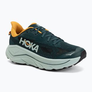 Mъжки обувки за бягане HOKA Challenger 8 bay leaf/sage