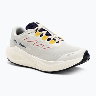 Мъжки обувки за бягане Salomon Aero Blaze 3 Gravel GTX vanilla ice/astral aura/lemon