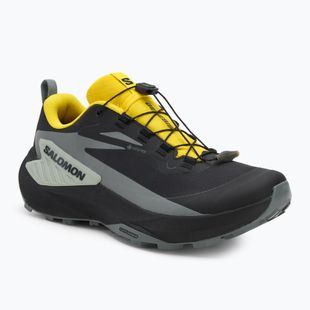 Мъжки обувки за бягане Salomon Genesis GTX black/sedona sage/incaberry