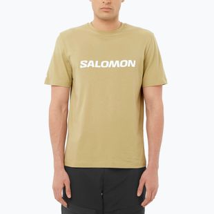 Мъжка тениска Salomon Logo gray green