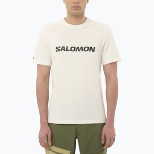 Мъжка тениска Salomon Logo whisper white