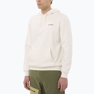 Мъжки суитшърт Salomon Chest Logo Hoodie whisper white